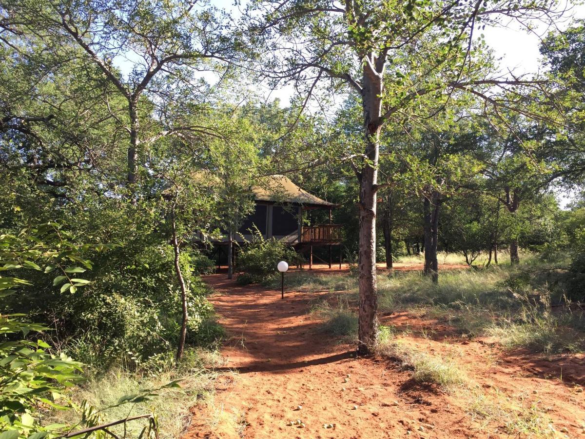 Iphofolo Lodge & Tented Camp Vivo Extérieur photo